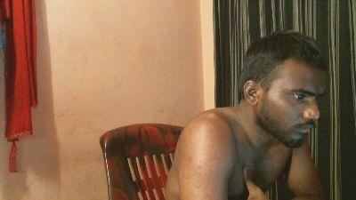 IndianBull_8
