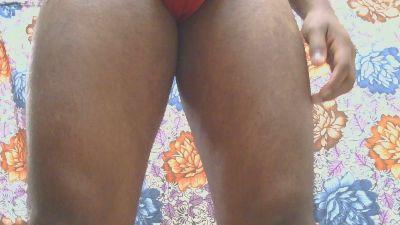 IndianBull_8