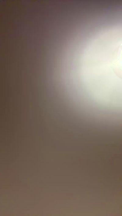 Indian_Ameliax