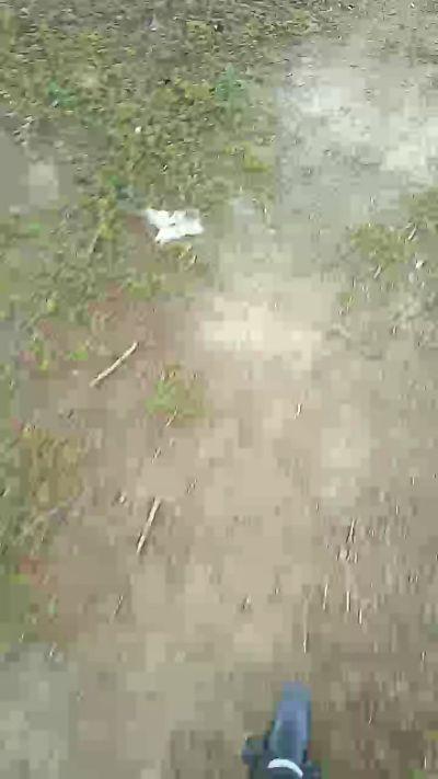 Indiano90