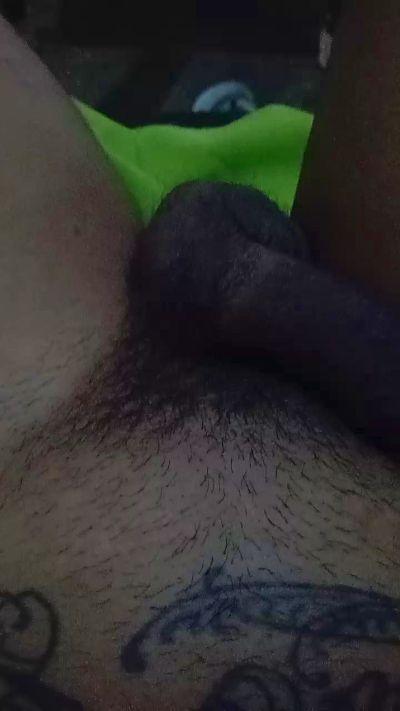 Indiopauzud0