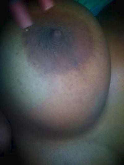 Iris_lina0