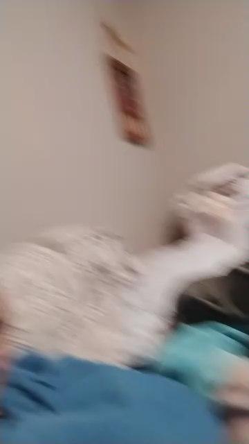 Jamiedeez1