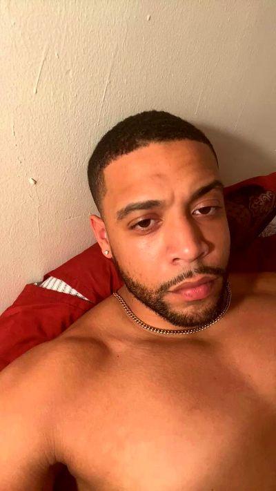 Jay_amature