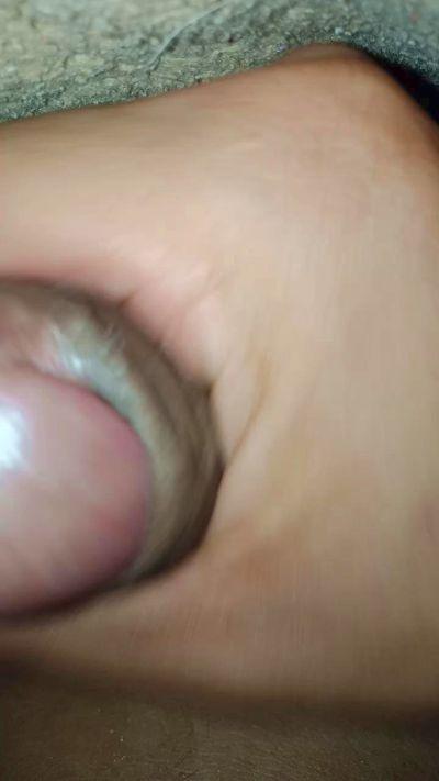 Jorder536