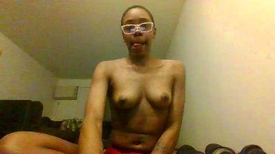 Kbear95