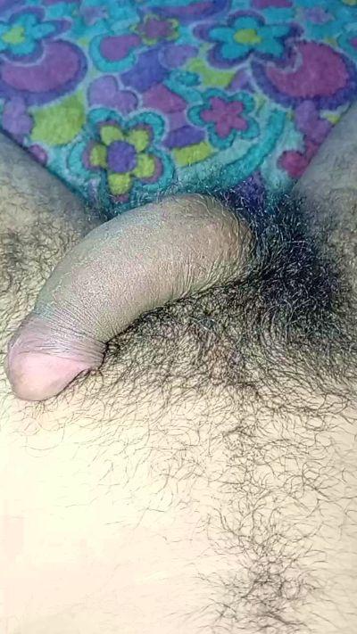 Latin22cm