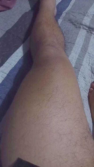 Lobo_2026