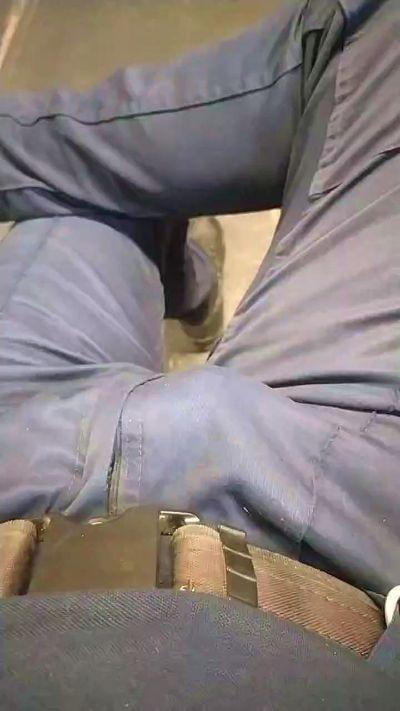 Loboactivo7