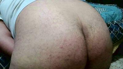 LongieBear