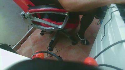 Lorytravesta