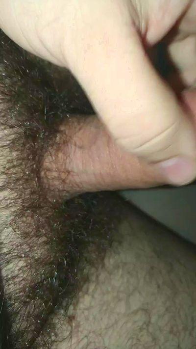 Lovebushpube