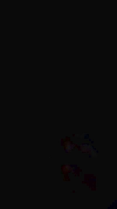 ML98