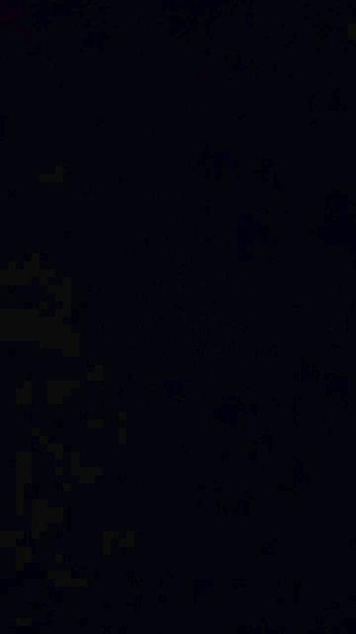 Marcelopt33