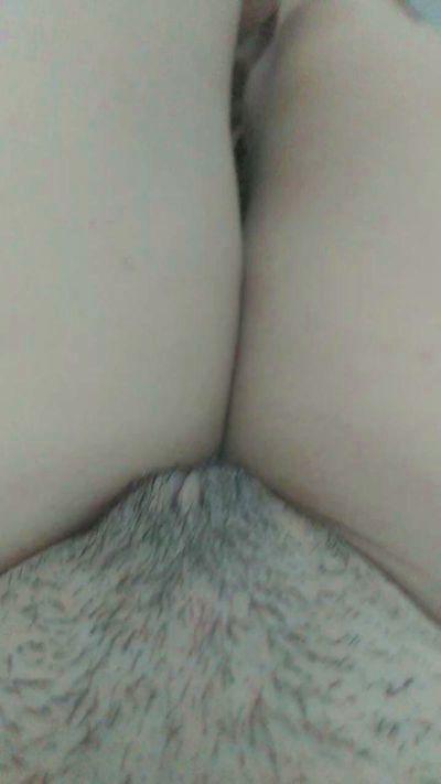 Meniinales