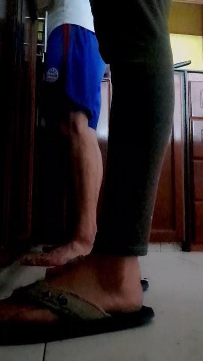 Merilin_cipre