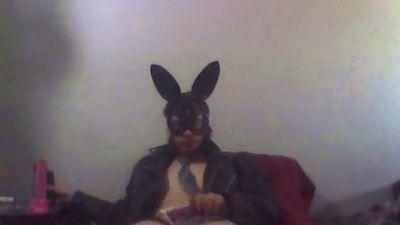 MetalRabit