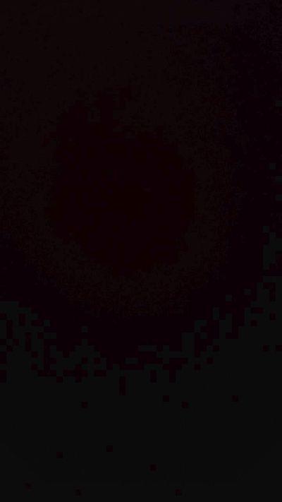 MetisBoMembre