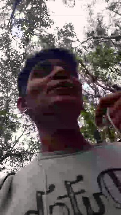 Mgustavo1