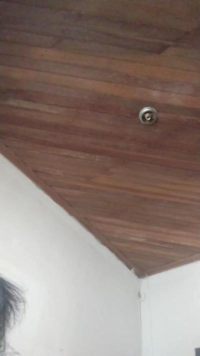 Mirella669
