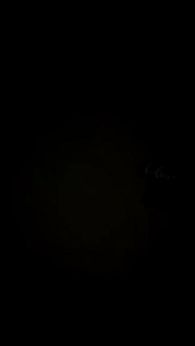 MissElvira1
