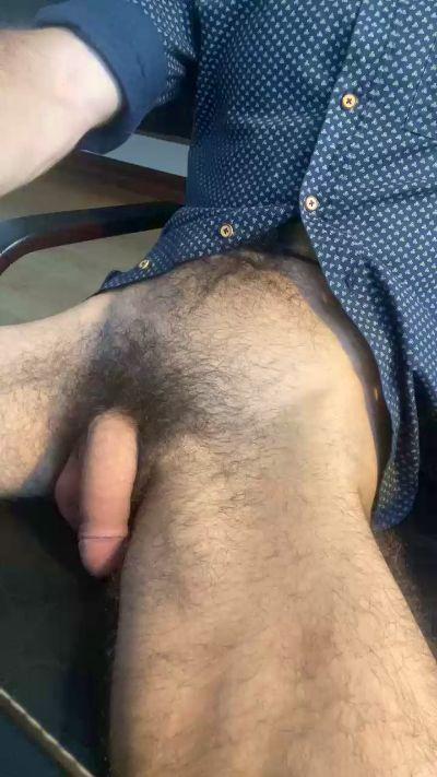 Monkey_Bull