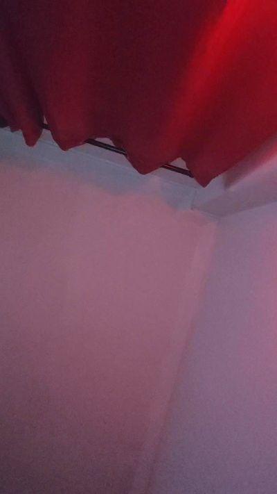Morganatransex2