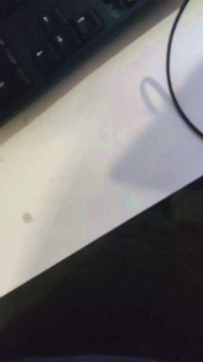 MotoMackey11