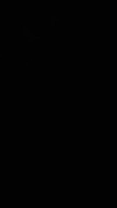 Nikita404