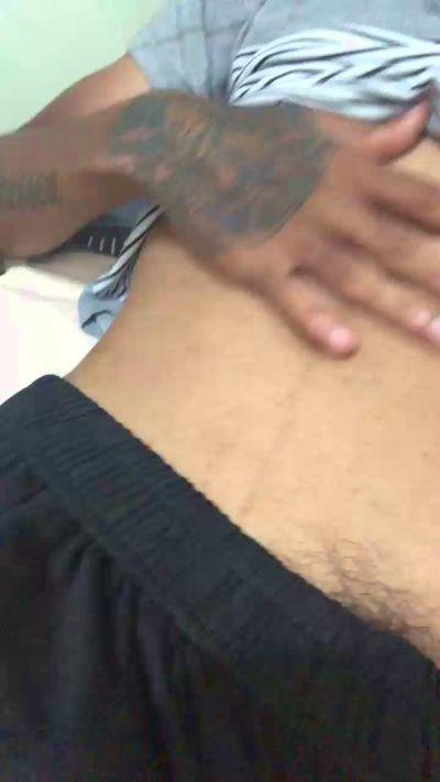 Novinhogostozo
