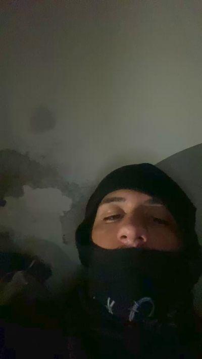 NovinhooRoludo