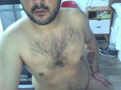 OSO_CITADINO