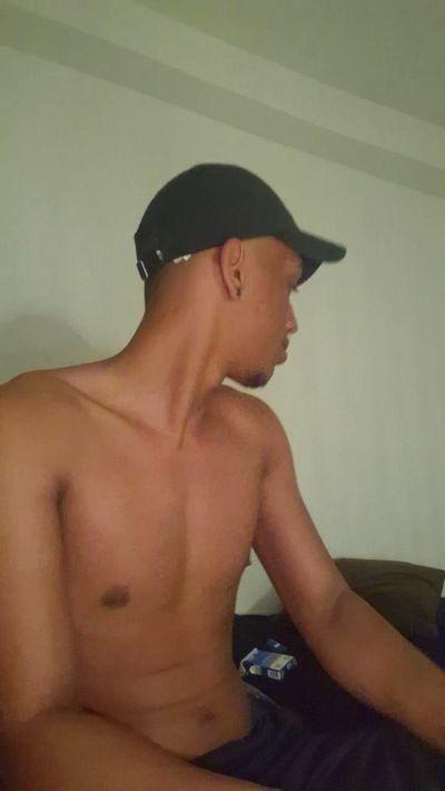 O_Novinho_ZS
