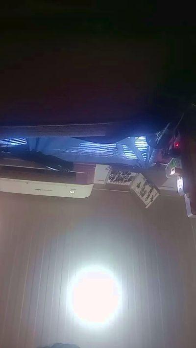 Osito2709