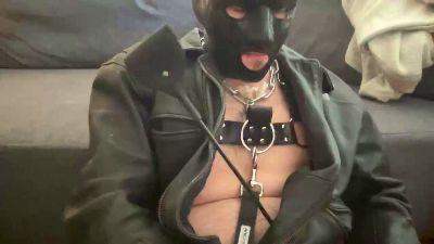 PIG_TO_USE