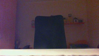 PISELLONE40