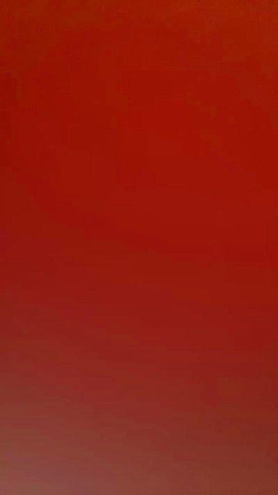 Paisley10