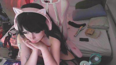 Pale_Rose
