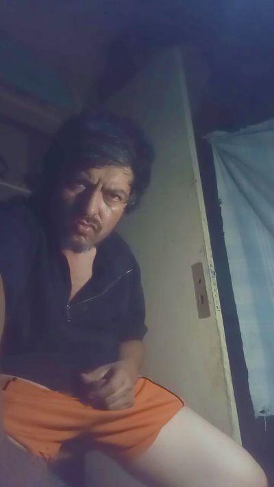 Paratialone1