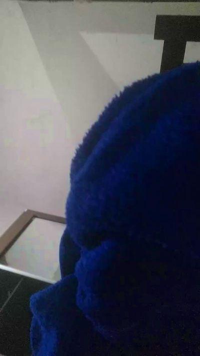 Paulotimao27