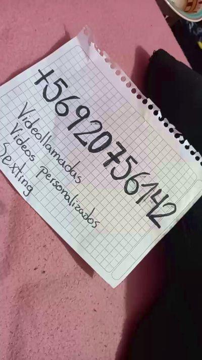 Perrita_chilen4