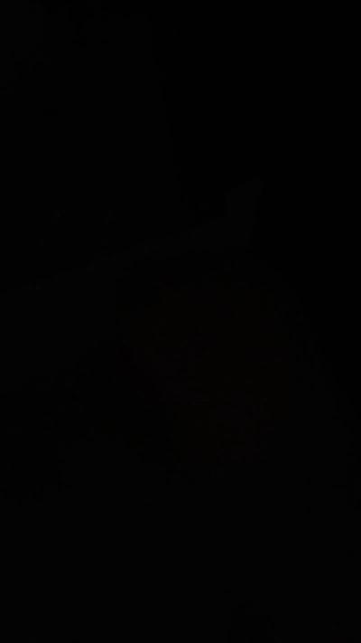 Philipa_X