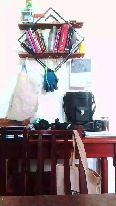 Pibemorbo28