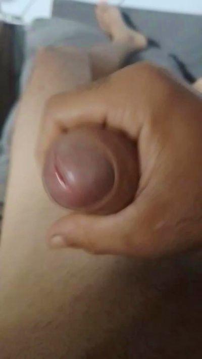 Picadetesao