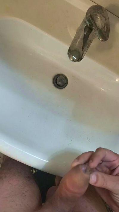 Porcellino_96