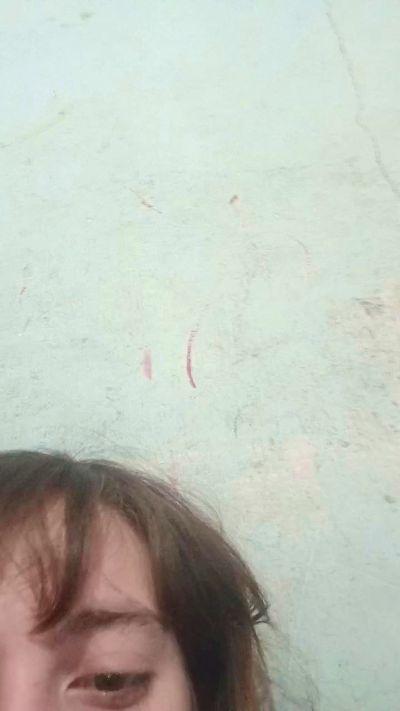 Prii_208