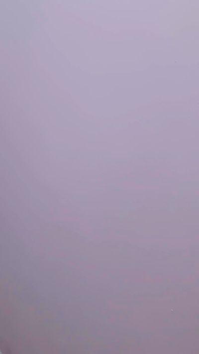 Quexut
