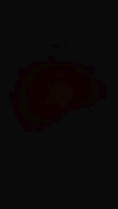 RealBlackBunny