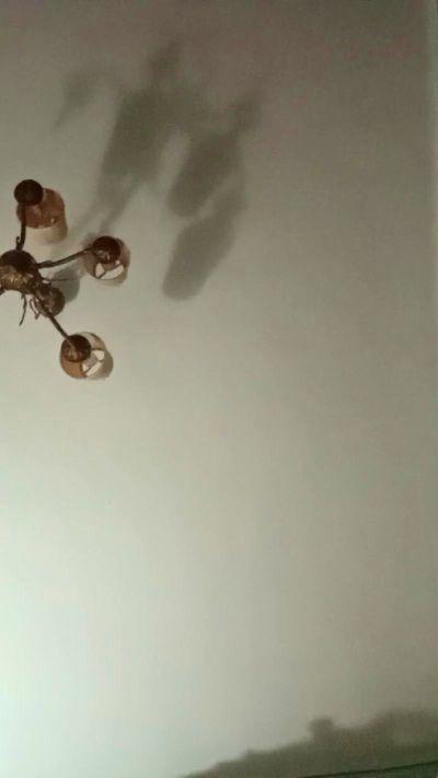 Rociotodo