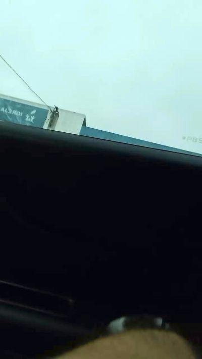 Safado_spc_xxx1